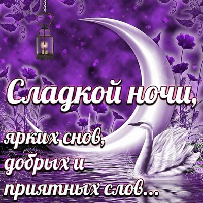 Открытка спокойной ночи с котиками — Slide-Life.ru
