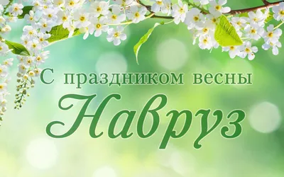 Навруз | Flowers, Rose, Plants