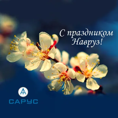 Поздравляем с праздником Навруз! - SARUS BUSINESS SERVICE