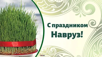 Медиа-группа Asia-Plus поздравляет всех с праздником Навруз | Новости  Таджикистана ASIA-Plus