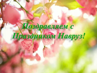Банк Эсхата» поздравляет с праздником Навруз! | Новости Таджикистана  ASIA-Plus