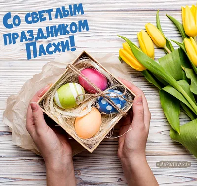 Со светлым праздником Пасхи! - tairovo-gardens.com.ua