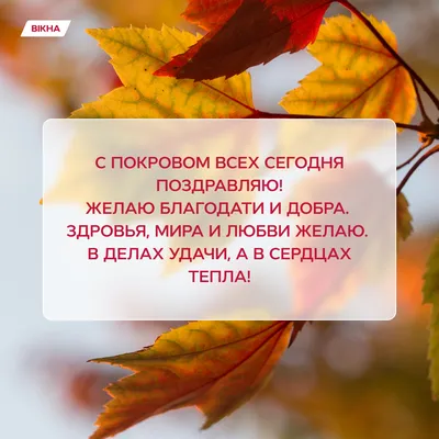 Поздравление главы муниципального образования Шахтерского муниципального  округа Александра Шатова с праздником Покрова Пресвятой Богородицы - Лента  новостей ДНР