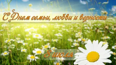 Поздравление с Всероссийским Днем семьи, любви и верности! | Администрация  Металлострой
