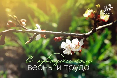 С праздником Весны и Красоты – Днем 8 марта! — Новости — Сетевое издание  «Звуки Красок»
