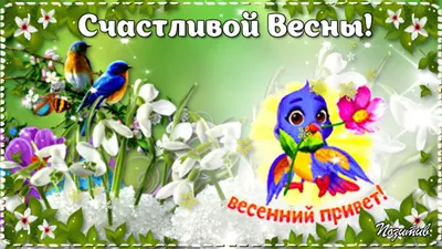 Весенний приветик с началом Весны! | Светлана Пюро-Дятловская | Дзен