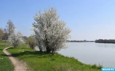 Стихотворение «Приход весны», поэт Закиева Ирина