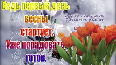 ВЕСНА идет 🌸 Международный праздник прихода весны 🌸 С первым днем весны  Поздравляю | с Мариной Гусаковой | Дзен