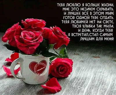 3001 роза за прощение любимой женщины – ульяновец хотел удивить жену, а  заставил ахнуть весь город - KP.RU
