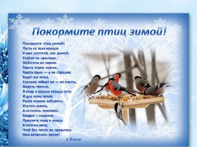 Экологическая акция \"Покормите птиц зимой\" | Детский сад №34 «Золотой  ключик»