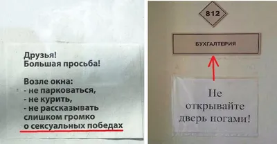 Наклейка на номерной знак с разными надписями, набор из 2 шт., оригинальный  автомат | AliExpress