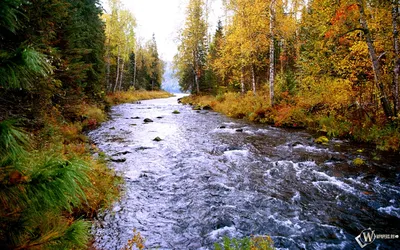 Картинка на рабочий стол минимализм, линии, полосы, текстура 1280 x 800