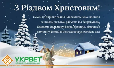 С Рождеством Христовым! | Новости ООО Укрвет