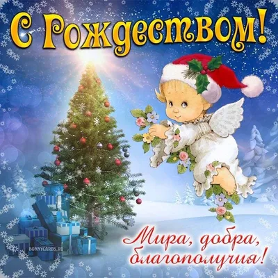 Открытки с Рождеством Христовым 2022 - самые красивые поздравления — УНИАН