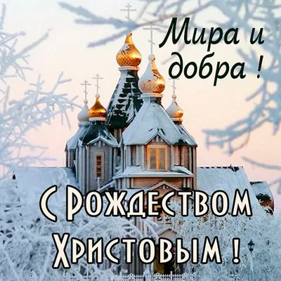 10 красивых открыток, которыми можно поздравить близких с Рождеством  Христовым - Православие.фм