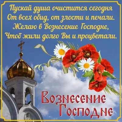 Сегодня в России отмечается великий церковный праздник — Покров Пресвятой  Богородицы - Лента новостей Запорожья