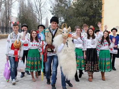 Щедривки - прикольные поздравления со Старым новым годом - Апостроф