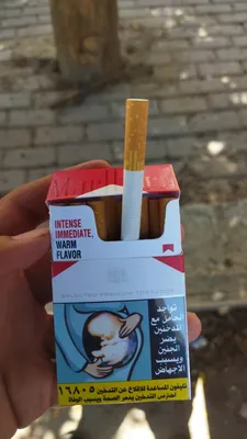 Сигареты Bohem Cavana demi - «Качественные и не дорогие сигареты с  фруктовой кнопкой компакт размера.» | отзывы