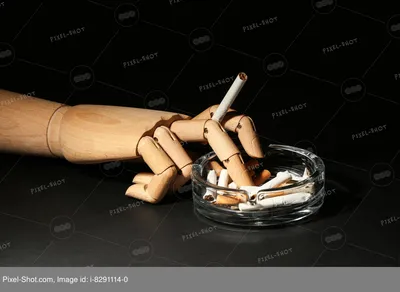 ТОП-5 стран с самыми дешевыми сигаретами в мире: сколько они стоят и какого  качества? | ТАБАЧНАЯ КУЛЬТУРА | Дзен