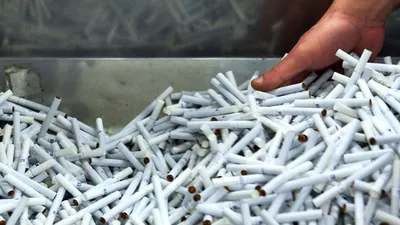 В Нидерландах цену за пачку сигарет хотят повысить почти до 50 евро | За  рубежом | ERR
