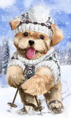 Рождественская собака, Изображения собак, Обои с собаками
