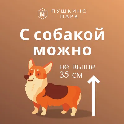 Здоровье маленькой собаки 🐶 - ProPlan.ru