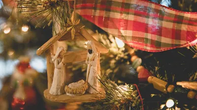 Красивые и яркие открытки к католическому Рождеству 2024 | Ёлка Тренд | Дзен