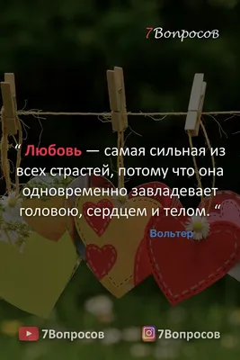 Цитаты про любовь | Журнал SOKOLOV