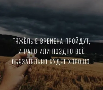 Цитаты со смыслом 2024 | ВКонтакте