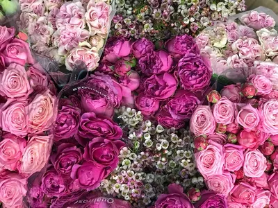 Букет \"Любимой\" с доставкой в Москве — Фло-Алло.Ру, свежие цветы с  бесплатной доставкой