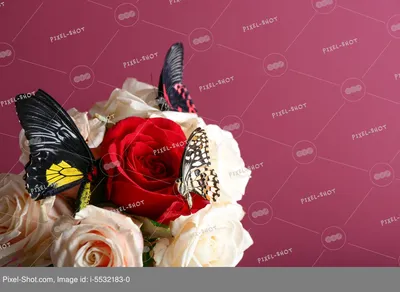 Фигурка на стержне 25см \"Бабочка\", ПВХ, 7-10см, 10-20 цветов купить с  выгодой в Галамарт