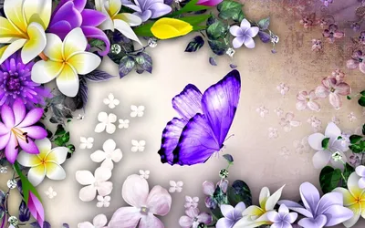 Красивые картинки с бабочками и цветами - 74 фото