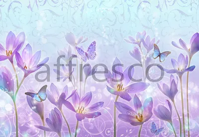 Картинка бабочка белая тюльпан цветок белым фоном