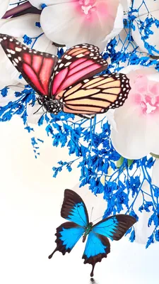 Фотообои Цветы и бабочки акварель купить на стену • Эко Обои