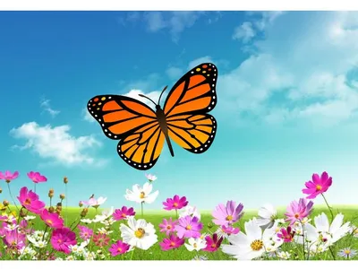 Онлайн пазл «Цветы и бабочки »
