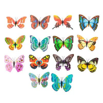 Цветы и бабочки на светлом фоне фотообои на заказ | Обои на заказ любых  размеров за один день, Кишинев, Молдова