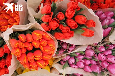 Популярные цветы на 8 марта — какие цветы самые популярные для мамы, жены,  дочки