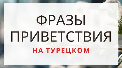 Рукописная фраза каллиграфии в иллюстрации вектора Seni Seviyorum Turkish  Турецкий перевод: Я тебя люблю Иллюстрация штока - иллюстрации  насчитывающей линия, влюбленность: 108802393