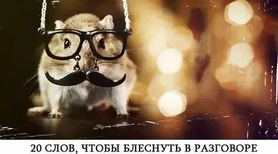 Евгений Миронов о том, что сейчас нет \"умной комедии\", про \"умные фильмы\"  ничего не сказано | Пенсионерка со стажем | Дзен