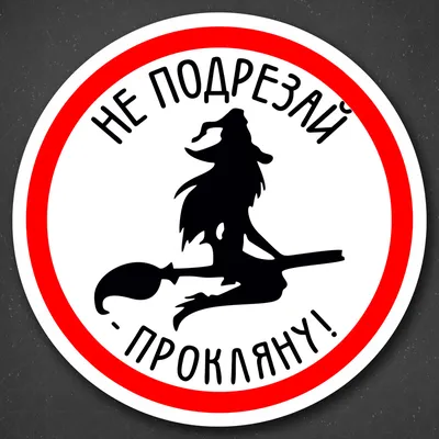 Макет для пищевой печати «Ведьма на метле» - Цена в Москве