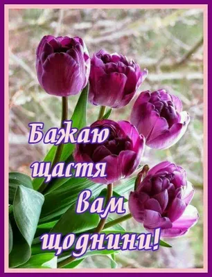 Pin by Ірина on З Весною | Beautiful flowers wallpapers, Postcard,  Beautiful flowers