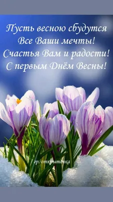 Весною луг меняет цвет (Валентина Рженецкая) / Стихи.ру