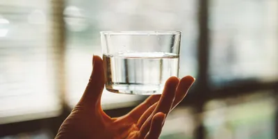 В чем разница между очищенной и дистиллированной водой?