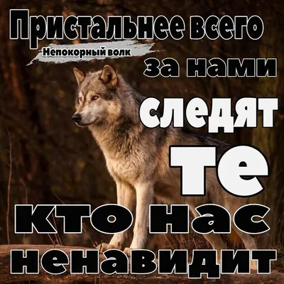 Ответы Mail.ru: Какое зоновское значение у татуировки Волк с оскалом ?