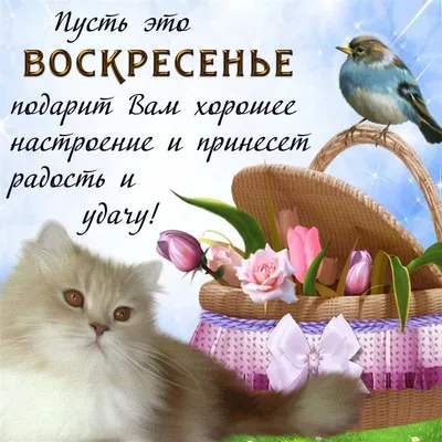 Прекрасная открытка с воскресеньем, отличных выходных - GreetCard.ru