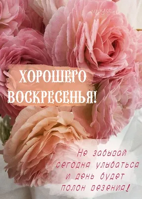 Картинка воскресенье выходной и отлично провести время (35 фото) » Юмор,  позитив и много смешных картинок