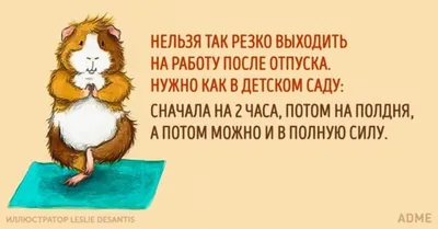 Как провести отпуск, чтобы с выходом на работу не столкнуться с выгоранием:  ОБЩЕСТВО: ЯМАЛ 1