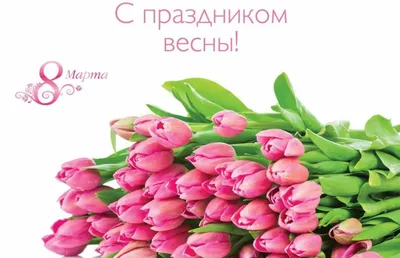 Поздравления с Международным женским днем 8 марта — Институт социологии НАН  Беларуси