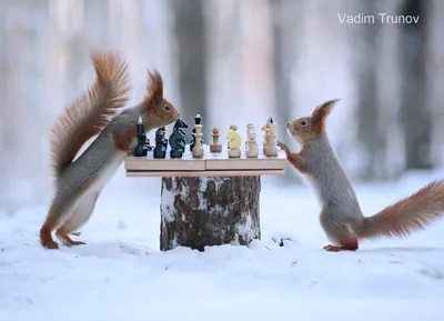 Доброе утро! Всех с Пятницей! 🌨Зима вернулась! С 1 по 3 апреля в Голицыно  выпадет полумесячная норма осадков в виде мокрого снега.… | Instagram