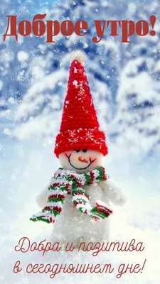 Доброе зимнее утро пятницы - новые открытки (37 ФОТО) | Novelty christmas,  Holiday decor, Christmas ornaments